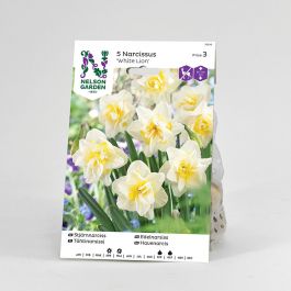 Narc. Stjärn, vit m gult