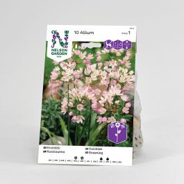Kvicklök, rosa