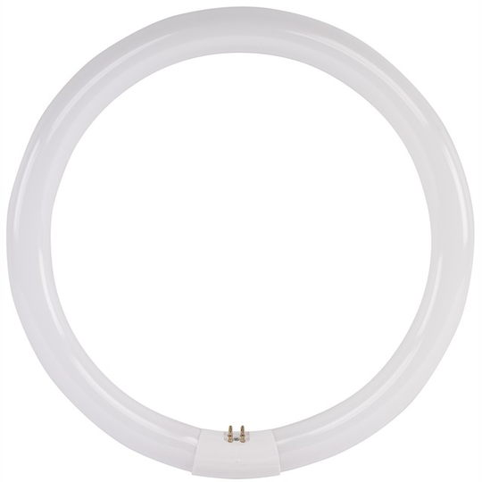CIRKELLYSRÖR OSRAM T8 840 VIT | Beijerbygg Byggmaterial