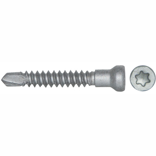 SKRUV MED BORRSPETS 6,7X42MM
