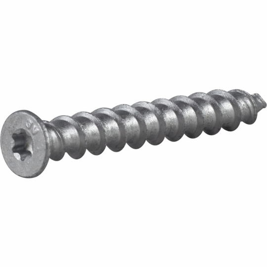 LÄTTBETONGSKRUV 8X65MM 100ST